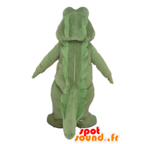 Große grüne Krokodil-Maskottchen und weiß, sehr erfolgreich und Spaß - MASFR24107 - Maskottchen der Krokodile
