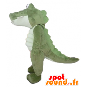Große grüne Krokodil-Maskottchen und weiß, sehr erfolgreich und Spaß - MASFR24107 - Maskottchen der Krokodile