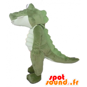 Large green crocodile mascot and white, very successful and fun - MASFR24107 - Mascot of crocodiles