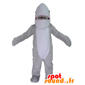 Mascot grijze en witte haai, realistisch en indrukwekkend - MASFR24117 - mascottes Shark