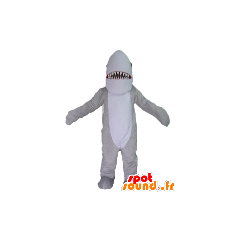 Mascot grijze en witte haai, realistisch en indrukwekkend - MASFR24117 - mascottes Shark