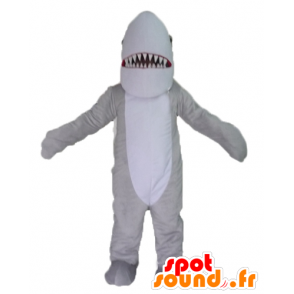 Mascot gray and white shark, realistic and impressive - MASFR24117 - Mascots shark