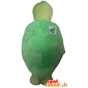 Grön och gul sköldpadda maskot, original och rolig - Spotsound