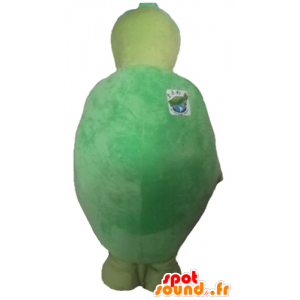 Mascote tartaruga verde e amarelo, original e engraçado - MASFR24142 - Mascotes tartaruga