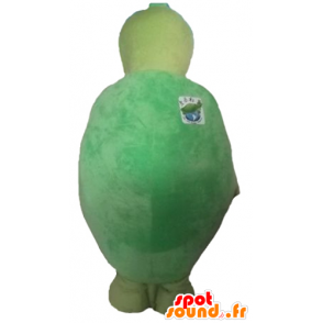 Mascote tartaruga verde e amarelo, original e engraçado - MASFR24142 - Mascotes tartaruga