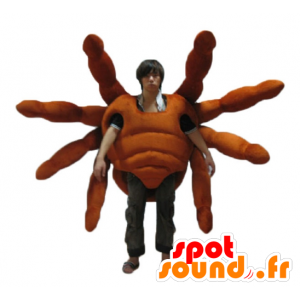 Mascot tarântula, aranha gigante, realista e impressionante - MASFR24144 - mascotes Insect