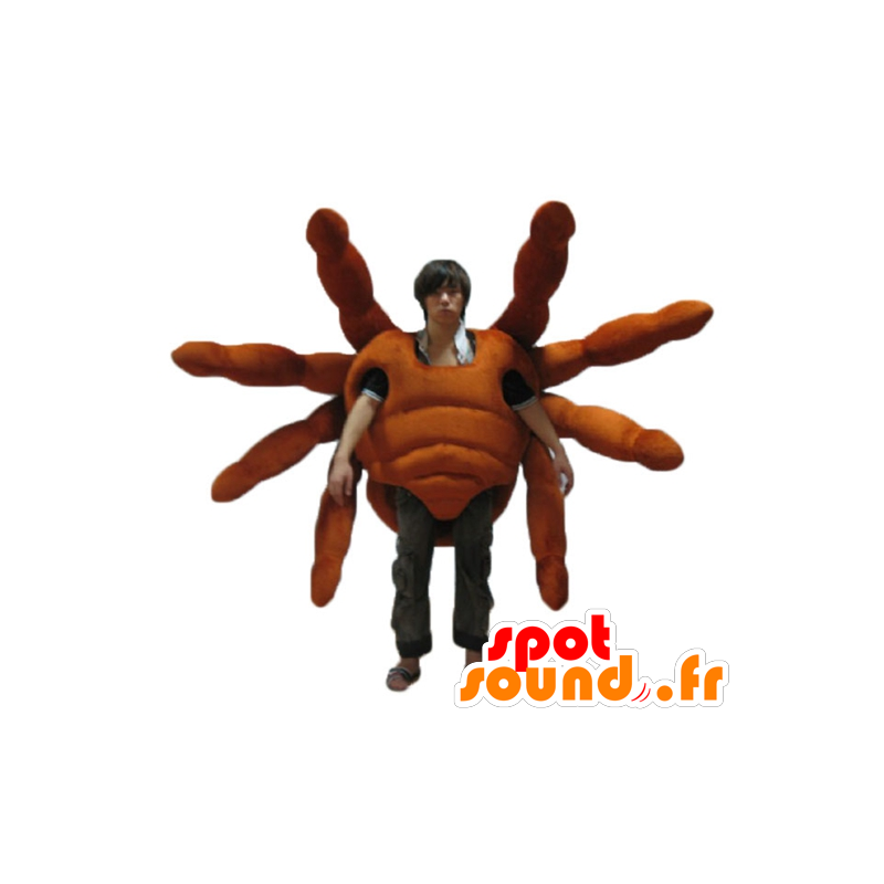 Mascot tarantula, giant spider, realistic and impressive - MASFR24144 - Mascots insect