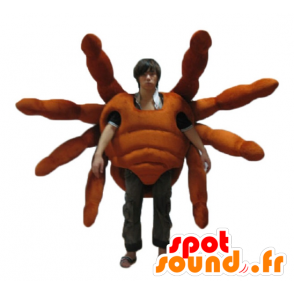 Mascot tarantula, giant spider, realistic and impressive - MASFR24144 - Mascots insect