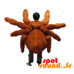 Mascotte de mygale, d'araignée géante, réaliste et impressionnante - MASFR24144 - Mascottes Insecte