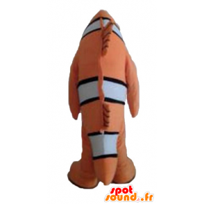 Mascot clownfish, oranssi kala, mustavalkoinen - MASFR24145 - kala Maskotteja