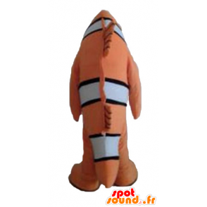 Mascotte de poisson-clown, de poisson orange, noir et blanc - MASFR24145 - Mascottes Poisson