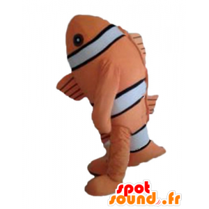 Mascotte de poisson-clown, de poisson orange, noir et blanc - MASFR24145 - Mascottes Poisson