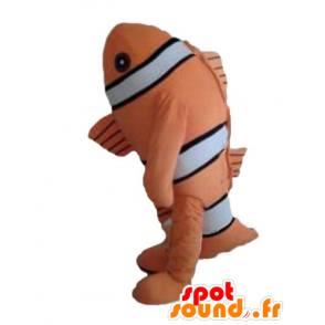 Mascot clownfish, oranssi kala, mustavalkoinen - MASFR24145 - kala Maskotteja