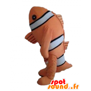 Mascotte de poisson-clown, de poisson orange, noir et blanc - MASFR24145 - Mascottes Poisson