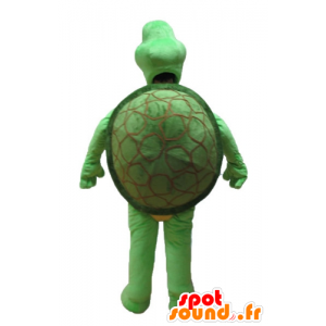 Green turtle mascot and beige - MASFR24151 - Mascots turtle