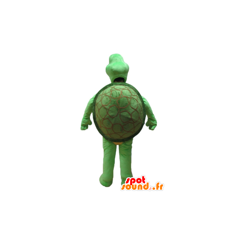 Green turtle mascot and beige - MASFR24151 - Mascots turtle