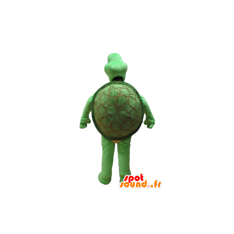 Grüne Schildkröte Maskottchen und beige - MASFR24151 - Maskottchen-Schildkröte