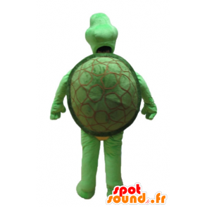Green turtle mascot and beige - MASFR24151 - Mascots turtle