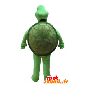 Mascota de la tortuga verde y beige - MASFR24151 - Tortuga de mascotas