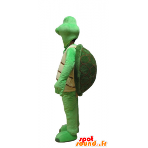 Groene schildpad mascotte en beige - MASFR24151 - Turtle Mascottes