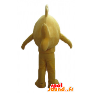 Muy bonito y la mascota lindo pez amarillo, gigante - MASFR24156 - Peces mascotas