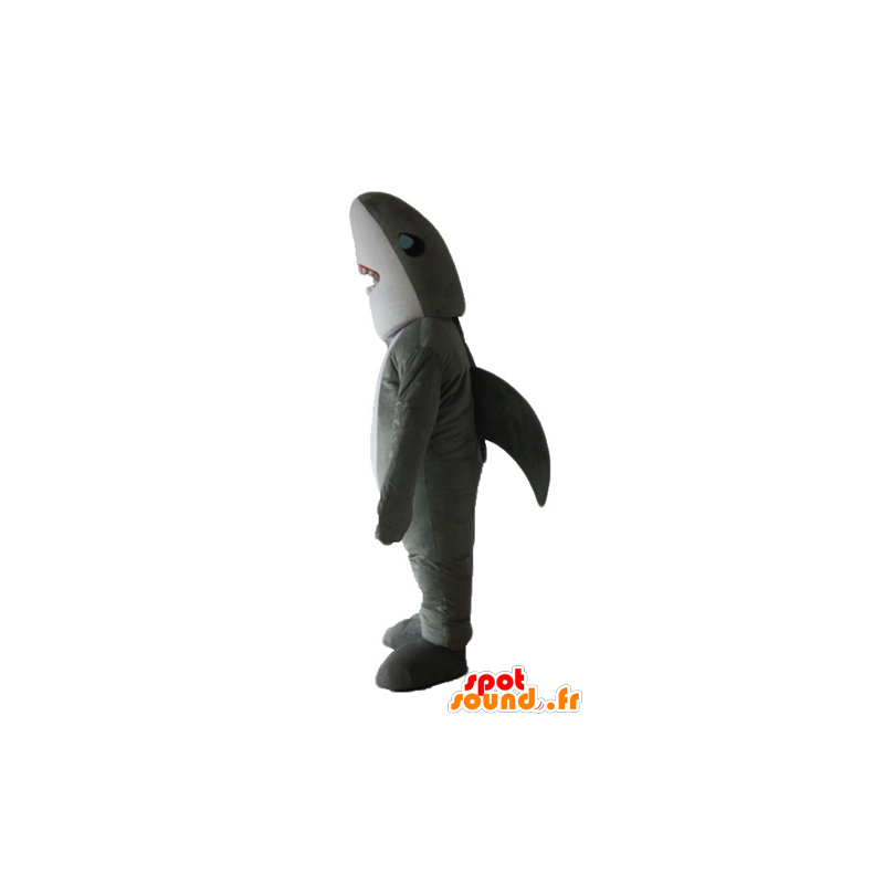 Grå och vit hajmaskot, realistisk och imponerande - Spotsound