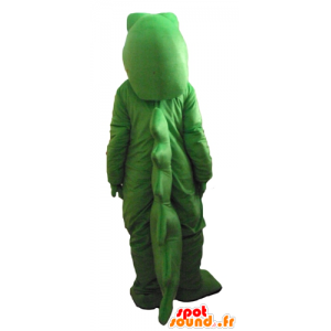 Mascotte de crocodile vert et blanc, dodu, très impressionnant - MASFR24183 - Mascotte de crocodiles