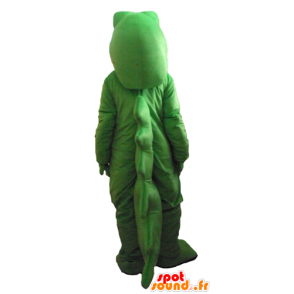 Groen en wit krokodil mascotte, mollig, zeer indrukwekkend - MASFR24183 - Mascot krokodillen