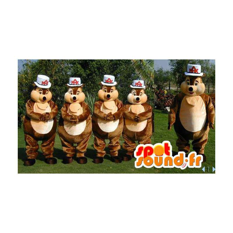 Mascots brown squirrel. Pack of 4 suits squirrel - MASFR006632 - Mascots squirrel