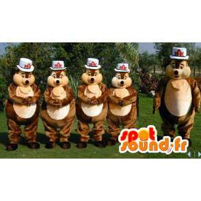 Mascots brown squirrel. Pack of 4 suits squirrel - MASFR006632 - Mascots squirrel