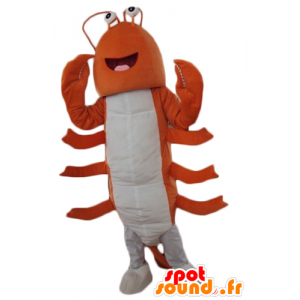 Giant hummer maskot, oransje og hvit kreps - MASFR24191 - Maskoter Lobster