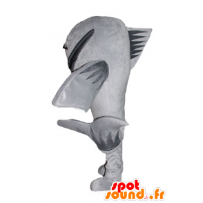 Maskottchen großen grauen Fische, Welse, Riesen - MASFR24198 - Katze-Maskottchen