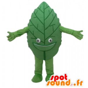 Foglia verde mascotte, gigante e sorridente - MASFR24206 - Mascotte di piante