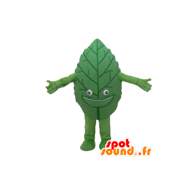 Foglia verde mascotte, gigante e sorridente - MASFR24206 - Mascotte di piante