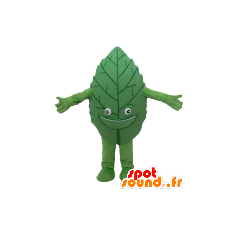 Green leaf mascot, giant and smiling - MASFR24206 - Mascots of plants