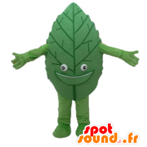 Grünes Blatt-Maskottchen, Riesen und lächelnd - MASFR24206 - Maskottchen der Pflanzen