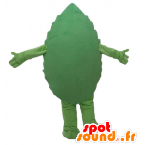 Foglia verde mascotte, gigante e sorridente - MASFR24206 - Mascotte di piante