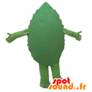 Green leaf mascot, giant and smiling - MASFR24206 - Mascots of plants