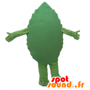 Foglia verde mascotte, gigante e sorridente - MASFR24206 - Mascotte di piante