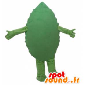 Mascot folha verde, gigante, sorrindo - MASFR24206 - plantas mascotes