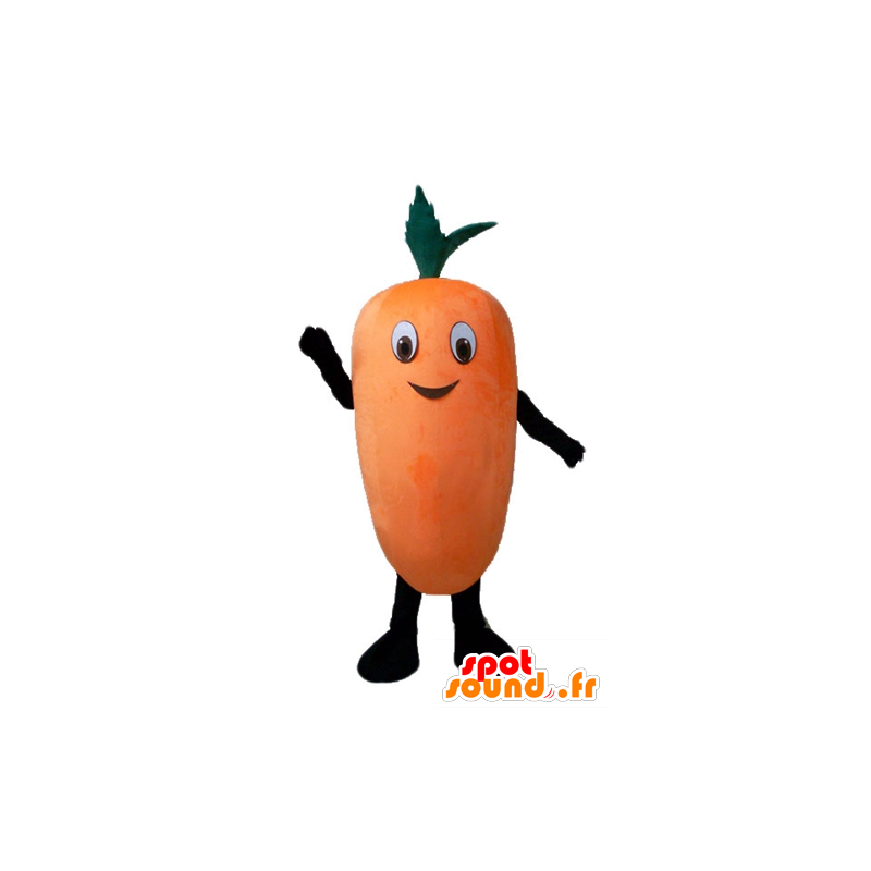 Mascotte de carotte orange géante et souriante - MASFR24207 - Mascotte de légumes
