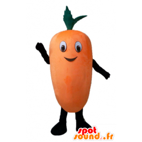 Mascotte gigante arancione carota e sorridente - MASFR24207 - Mascotte di verdure