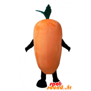 Mascotte de carotte orange géante et souriante - MASFR24207 - Mascotte de légumes