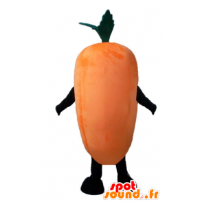 Mascotte gigante arancione carota e sorridente - MASFR24207 - Mascotte di verdure