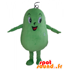 Tipo grande de la mascota, papa, haba verde, gigante - MASFR24208 - Mascotas sin clasificar