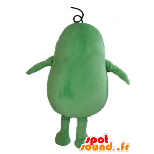 Mascot iso mies, peruna, vihreä papu, jättiläinen - MASFR24208 - Mascottes non-classées