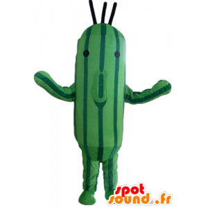 Mascota de pepino, dos tonos de calabacín verde - MASFR24210 - Mascota de verduras