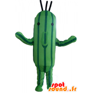 Mascotte de concombre, de courgette verte bicolore - MASFR24210 - Mascotte de légumes