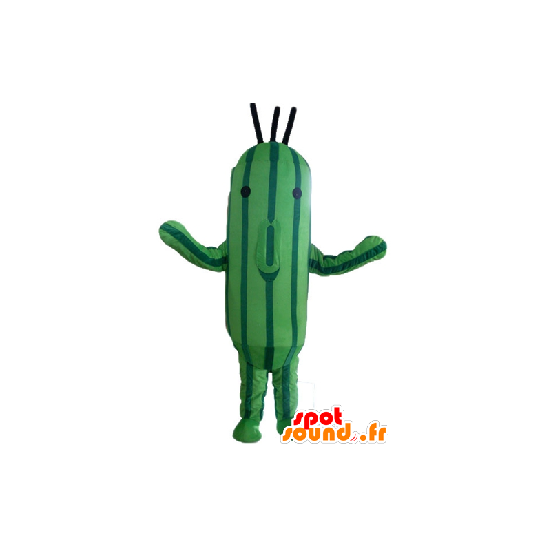 Agurk med maskot, tofarvet grøn zucchini - Spotsound maskot