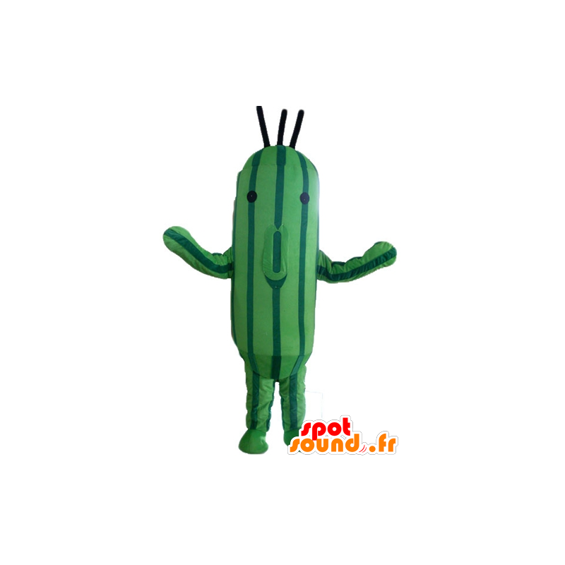 Cucumber Maskottchen, zweifarbige grüne Zucchini - MASFR24210 - Maskottchen von Gemüse